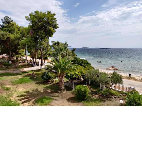 Entire Appartment 50m from sea - Spiros