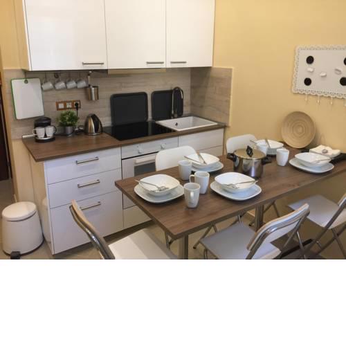 Entire luxury apartment in the city center