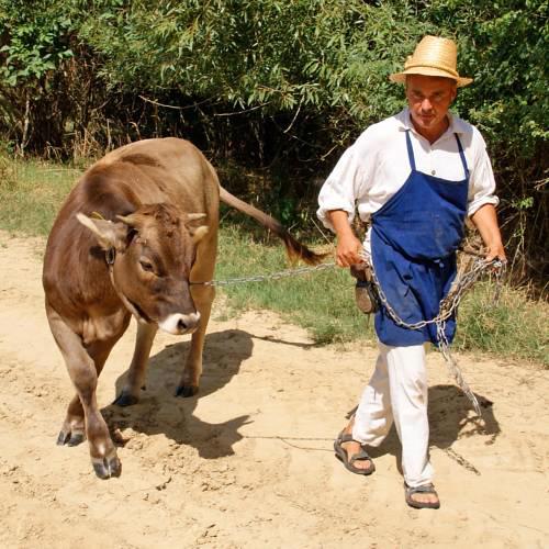 Erdősmecske Vendégház