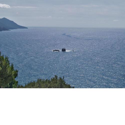Escape luxury loft apartment - Pelekas Beach, Corfu