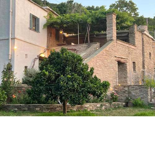 Η Μικρή Ελβετία της Άνδρου est.1900