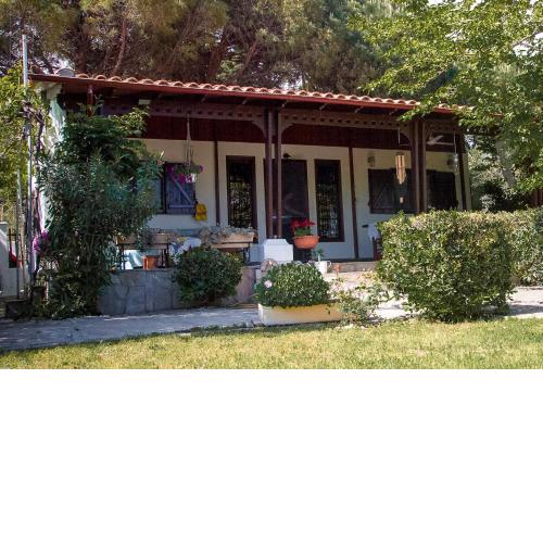 Estate Irene