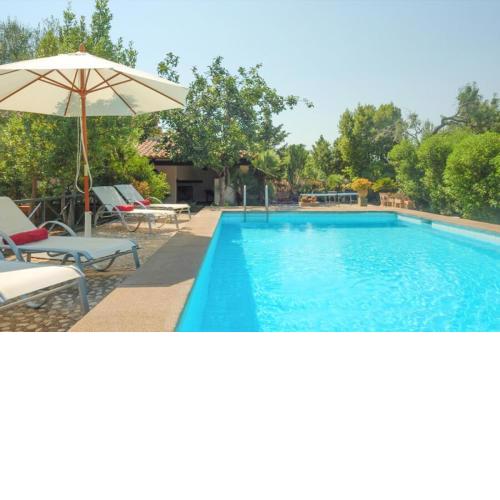Estel