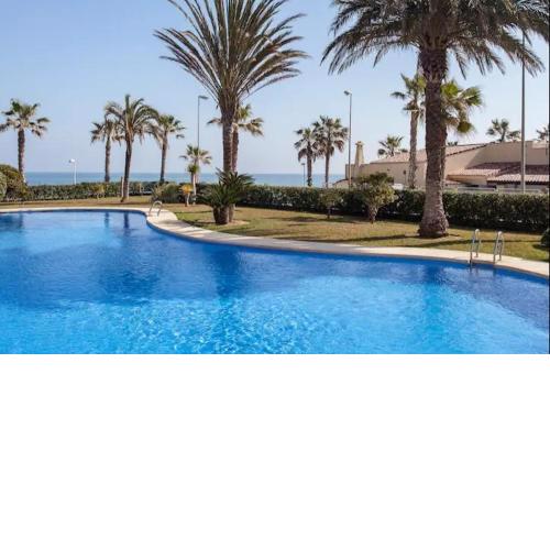 Estrella de Mar