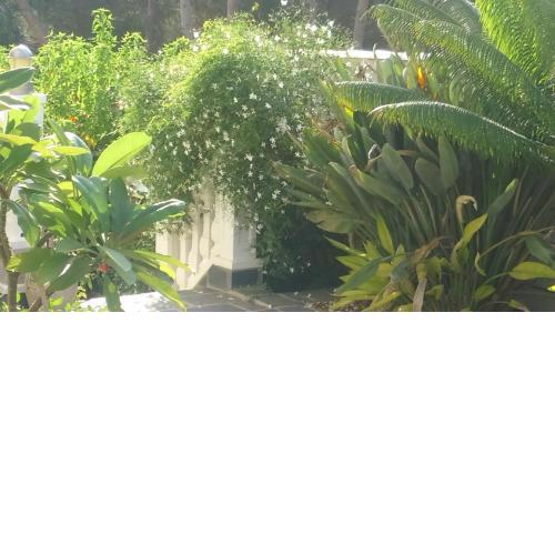 Estrella Del Mar Tranquil and spacious villa, convenient location 3-5 mins' walk to all amenities