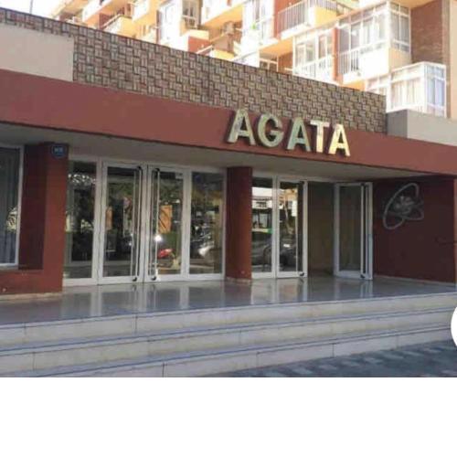 Estudio Agata 6