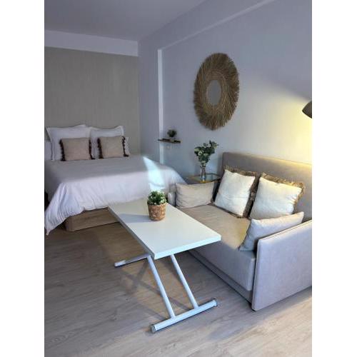 Estudio centro Marbella