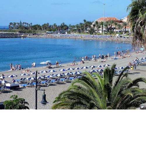 estudio Los Cristianos-Tenerife-