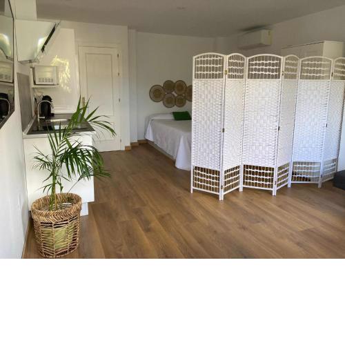 Estudio Pedregalejo Garden Málaga