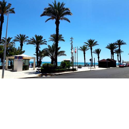 Estudio Playa del Cura