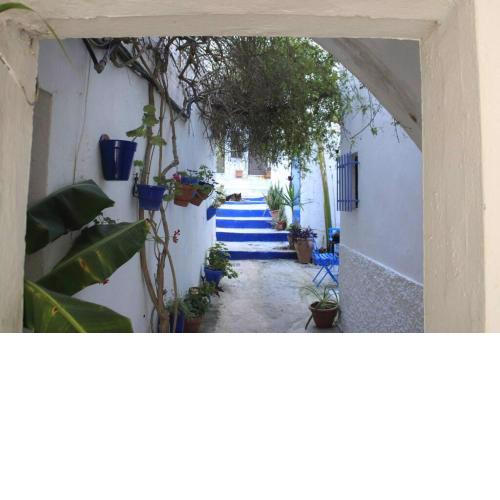 Estudio recién reformado en patio andaluz