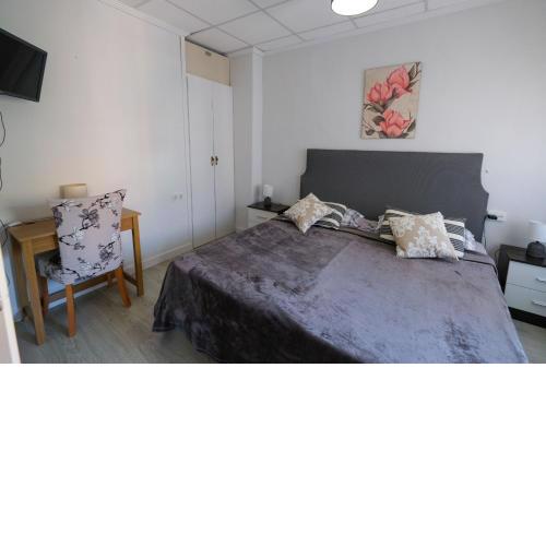 Estudio SOL en Alicante