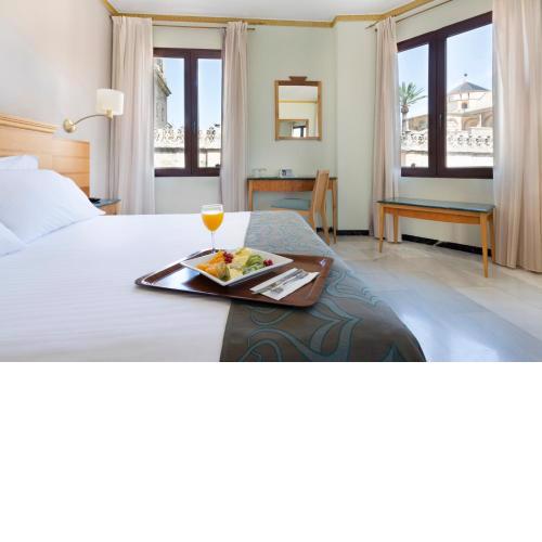 Eurostars Maimonides