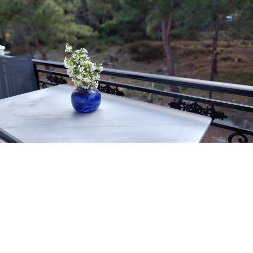 Evaggelia's Seaside Boutique Apartment