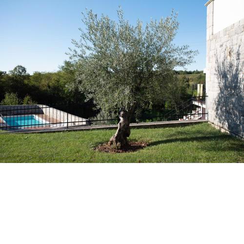 Event garden with pool and wine cellar