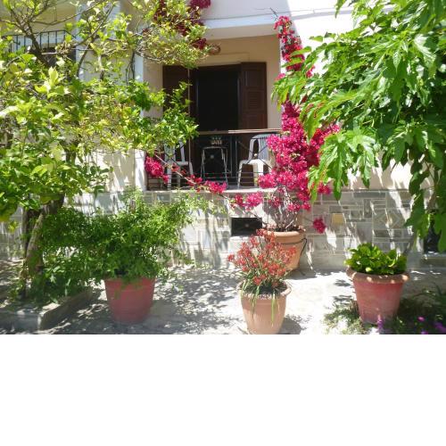 Evgenia's House
