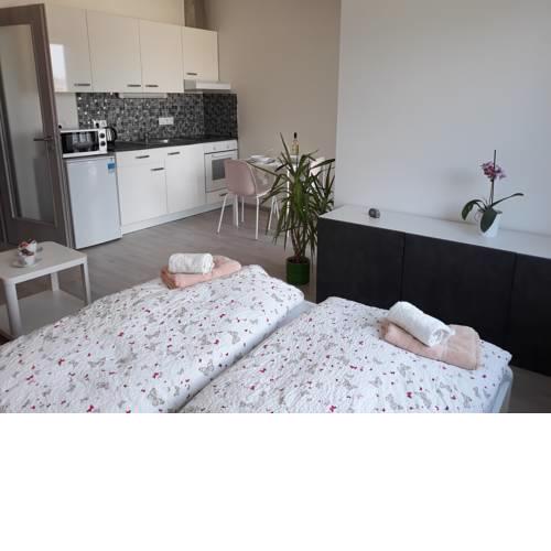 Exclusive Apartment Kolbenova next to subway