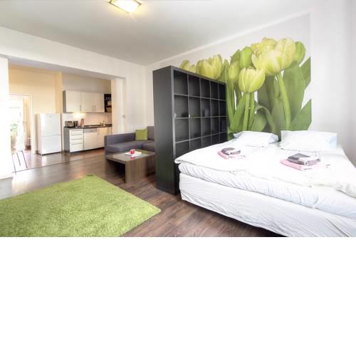 Exclusive Apartments in Zizkov