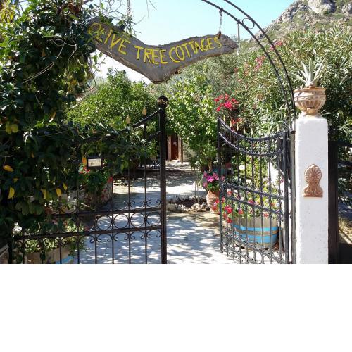 Exclusive Cottages in a quiet oliverove near the sea