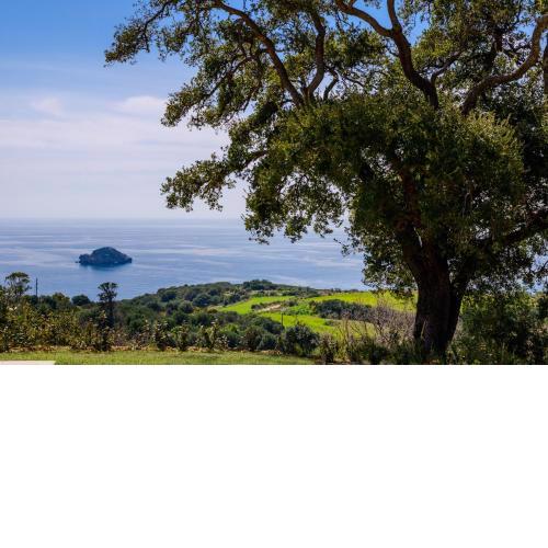 Faenna - Zeus Blue Villas, Kefalonia