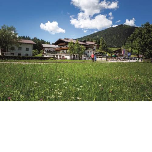 Familienhotel Felsenhof
