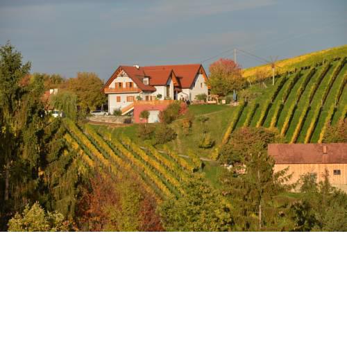Familienweingut Gästezimmer Amandus Adam