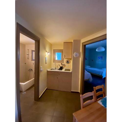 Family and pet friendly house