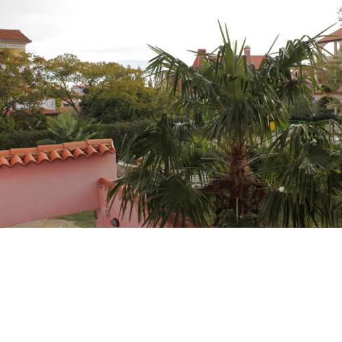 Family friendly apartments with a swimming pool Rovinj - 3394