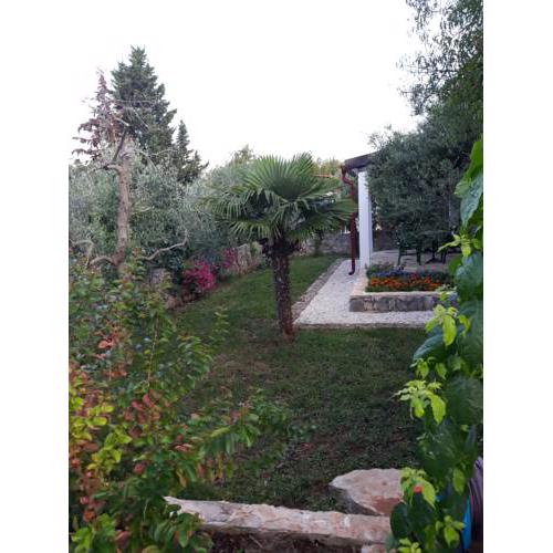 Family house Feniks