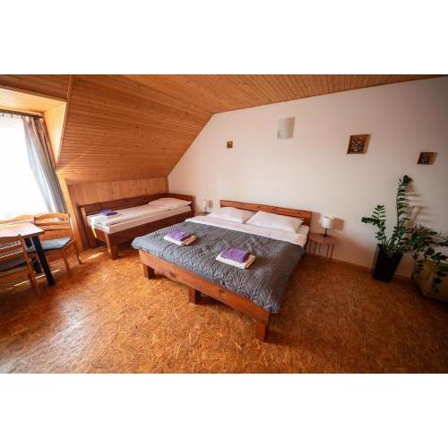 Family Pension - High Tatras private parking