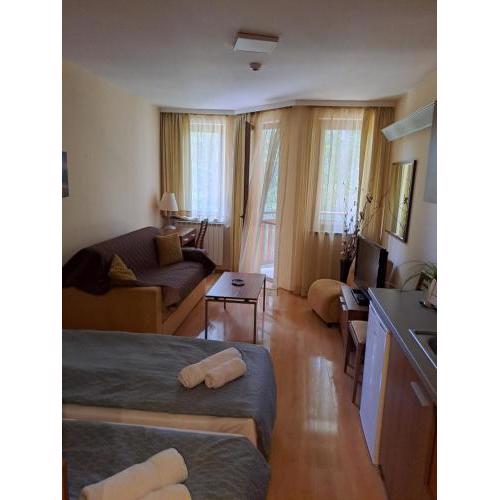 Family Studio, Villa park