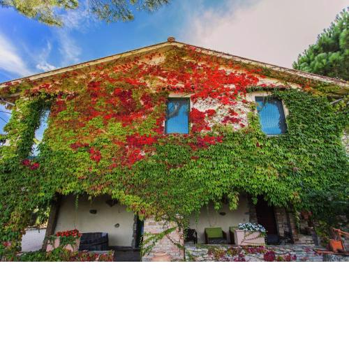 Farmhouse in Marsciano with vineyards olive groves
