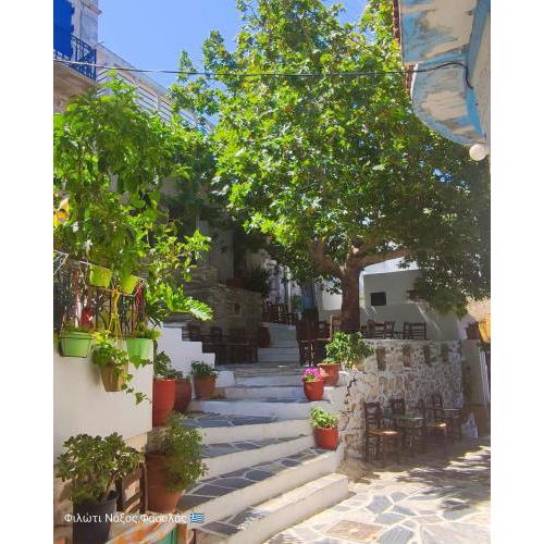 Fasolas square house "FREIDERIKI" is located 30 stairs up from the main road and it is in the old market "fasolas" and next to the museums