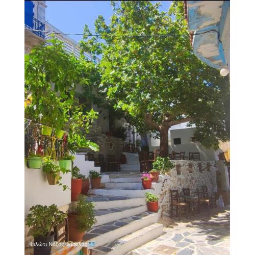 Fasolas square studio 15m2 is located 30 stairs up from the main road and it is in the old market fasolas and next to the museums
