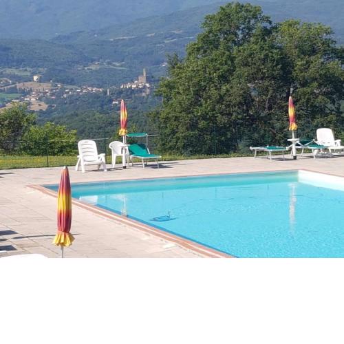 Fattoria di Belvedere
