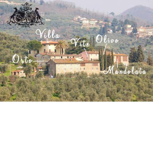 Fattoria di Fubbiano