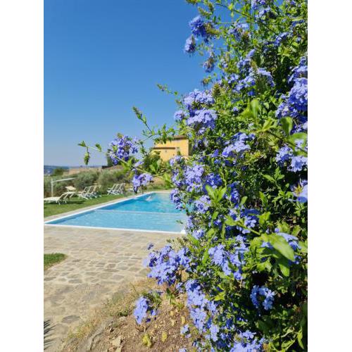 Fattoria di Maiano
