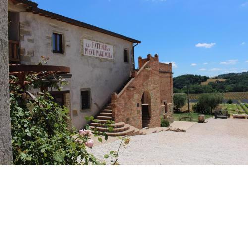 Fattoria di Pieve Pagliaccia - Cantina Brugnoni