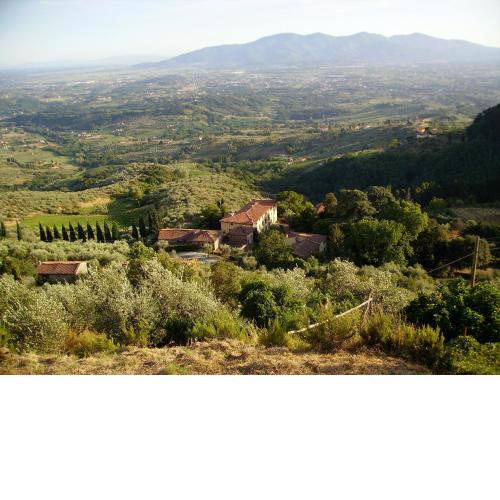 Fattoria Gambaro di Petrognano