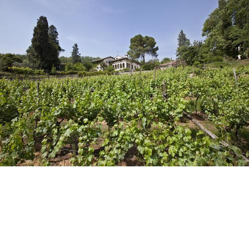 Fattoria Le Vegre