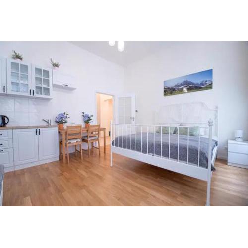 Favorite apartment in the center of Prague 1