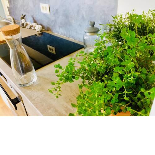 Feel the colors of beautiful Koper - CLEAR GREY