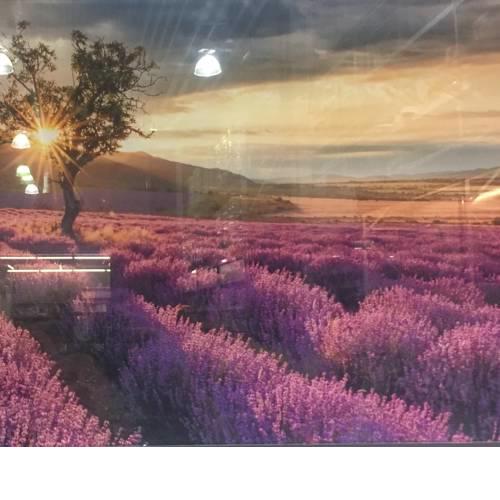 Feel the colors of beautiful Koper - LAVENDER