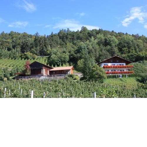 Ferienbauernhof Masunerhof