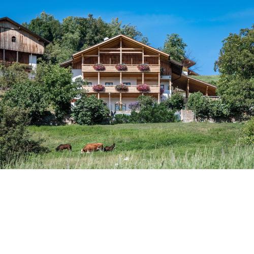 Ferienbauernhof Wieserhof