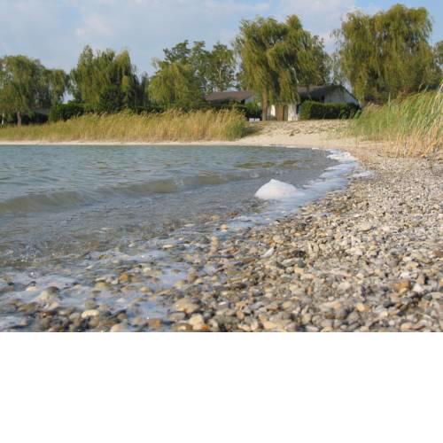 Feriendorf Vogelparadies