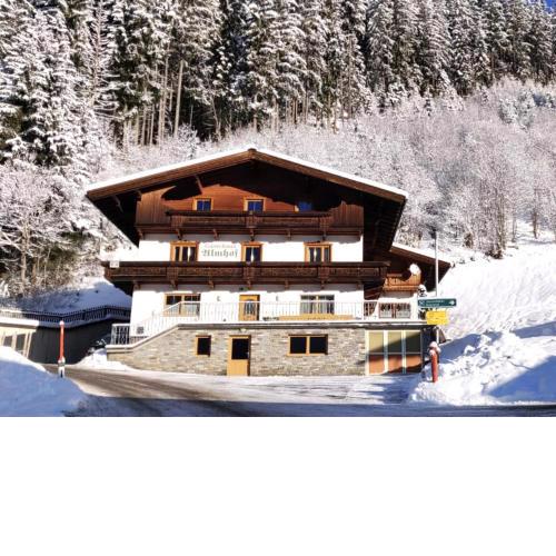 Ferienhaus Almhof