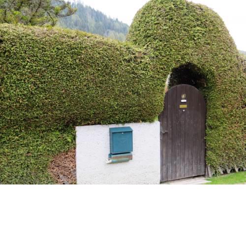 Ferienhaus an der Muerz