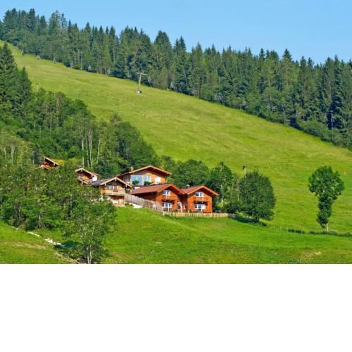 Ferienhaus Flachau 101S
