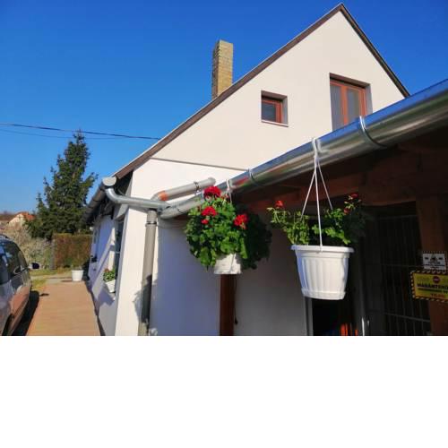 Ferienhaus im Weinberg